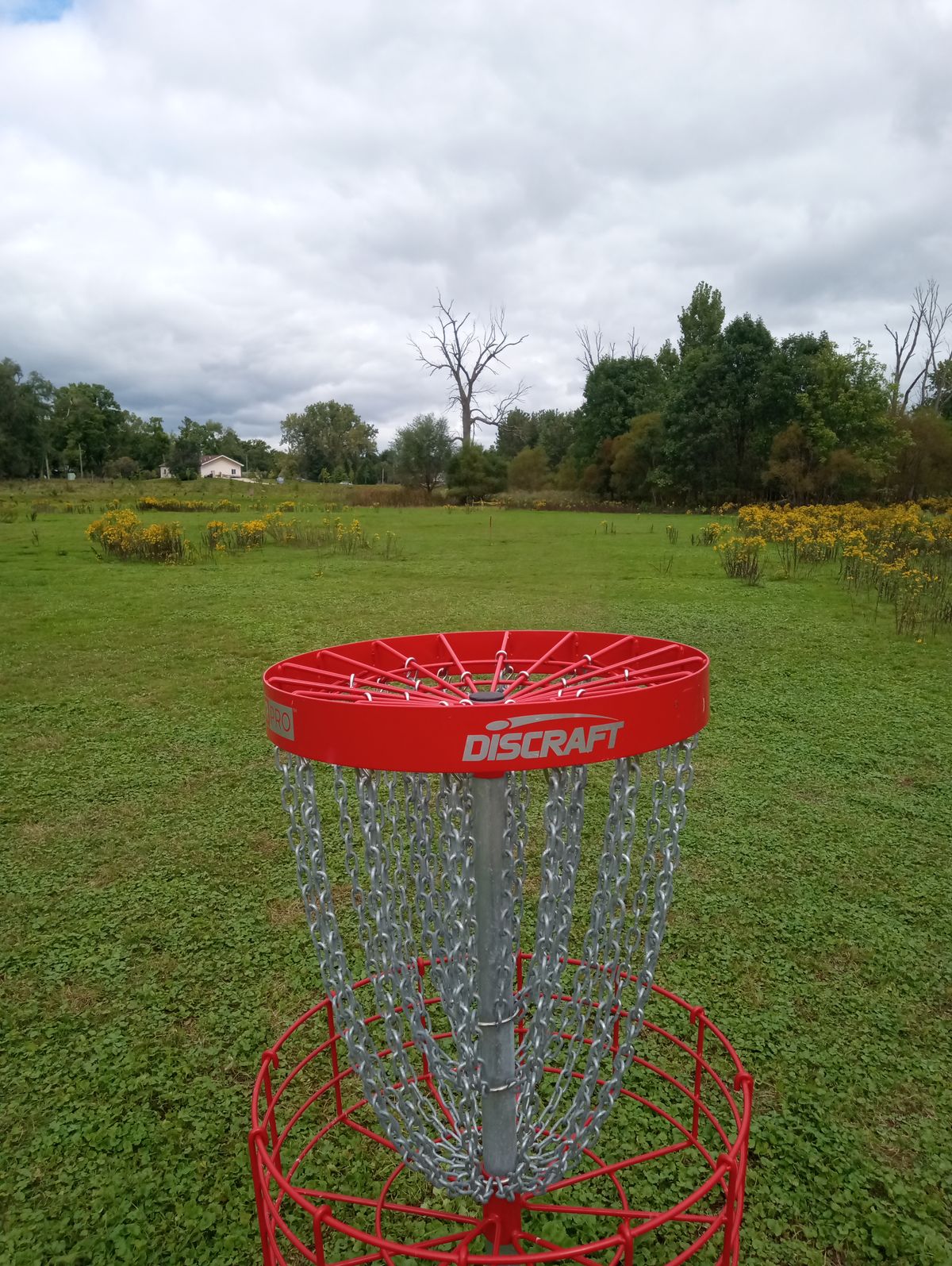 Hole 3 back to tee