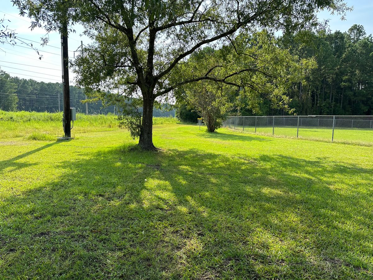 Hole 6 Fairway
