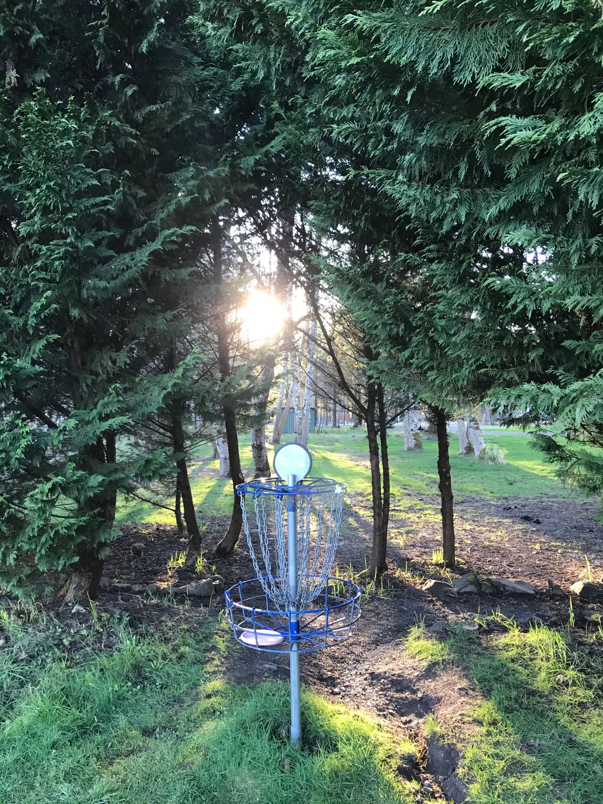 View from behind basket 5 looking back at tee