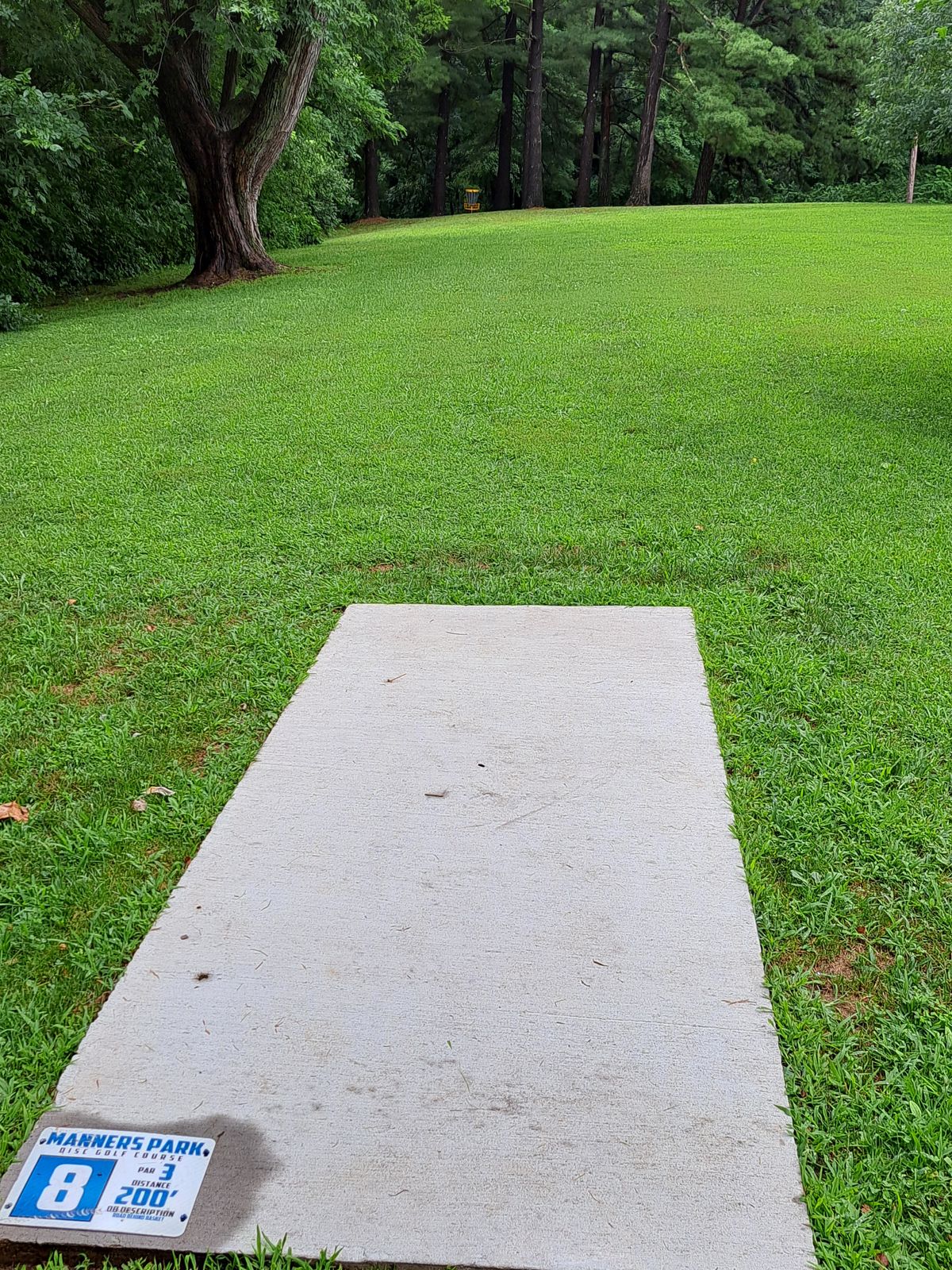Hole 8