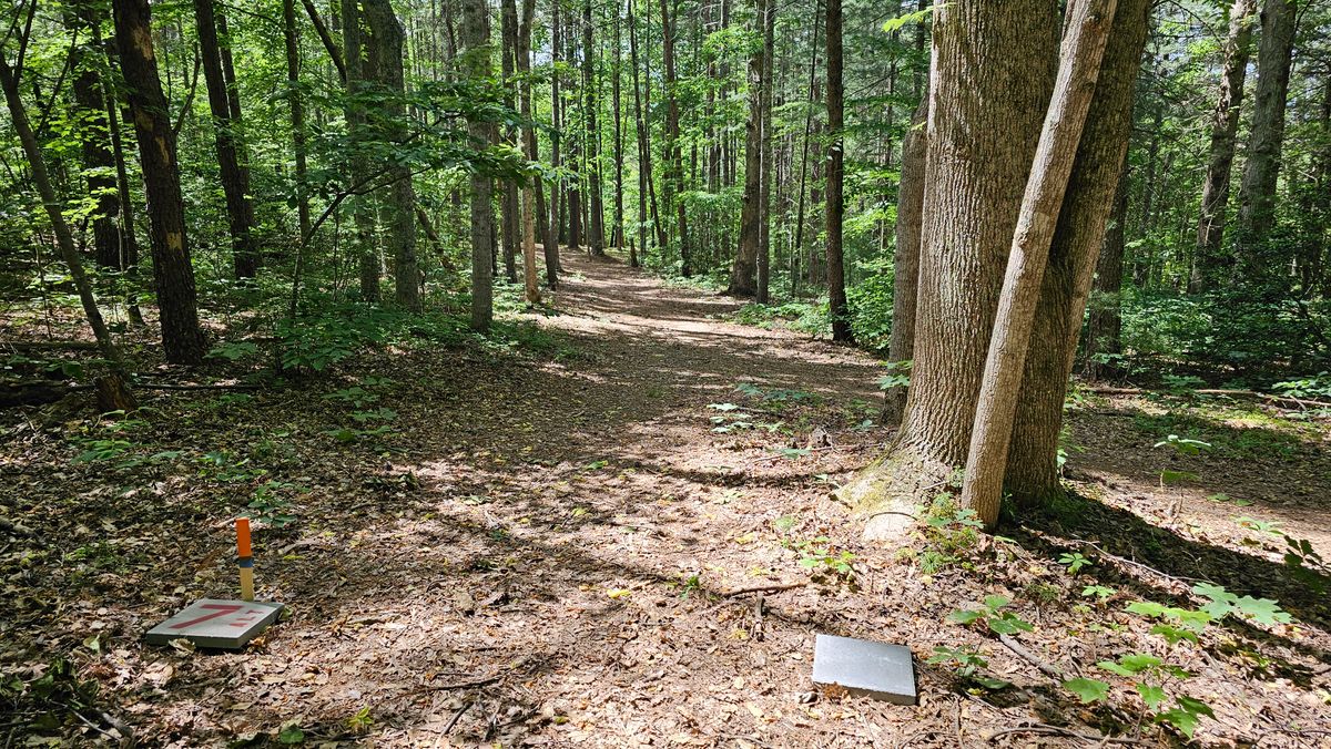 Hole 7 Alt - 228 ft