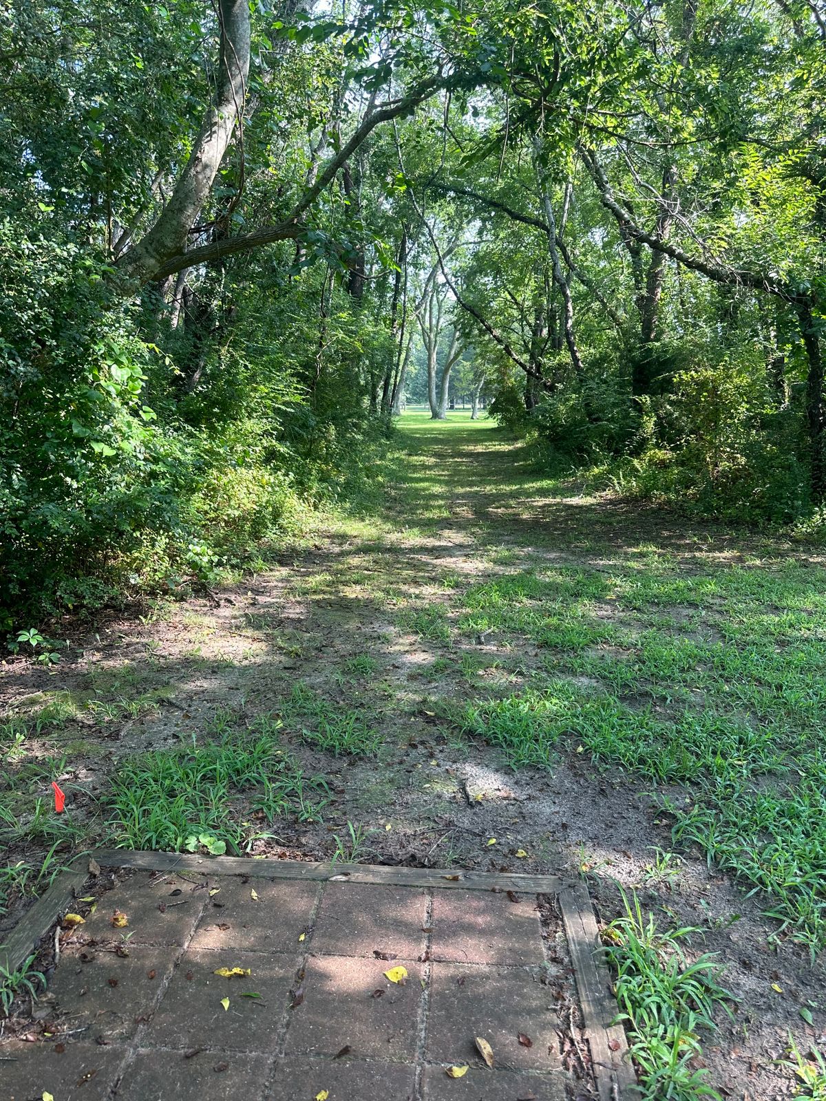 Hole 8