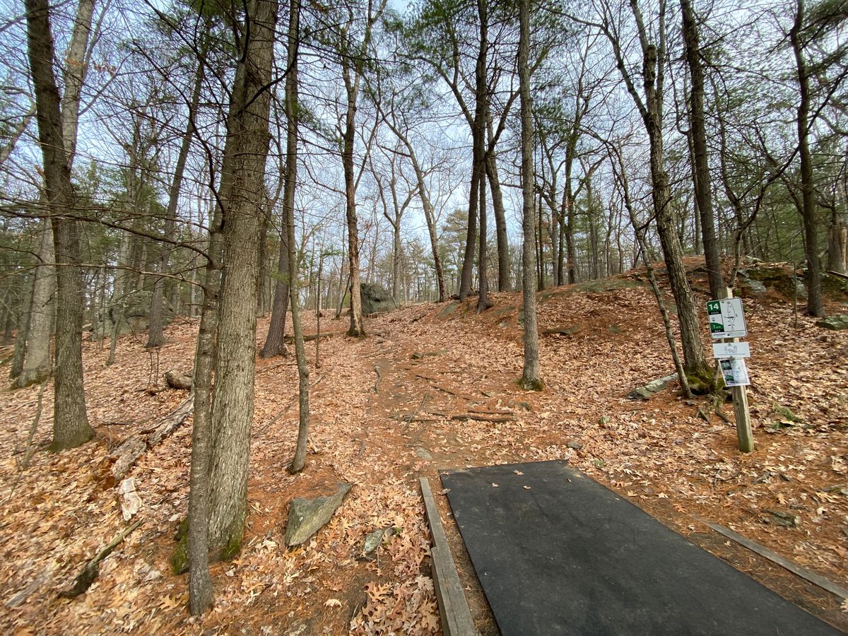 Hole 14 The Hill 1/14/2020