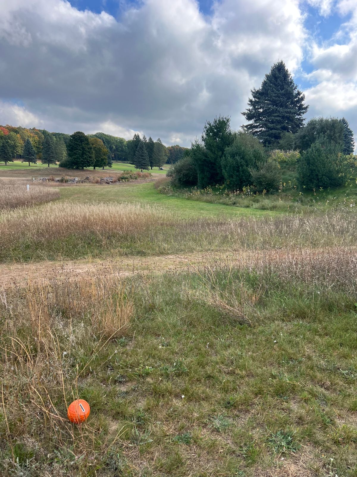 New Hole 1