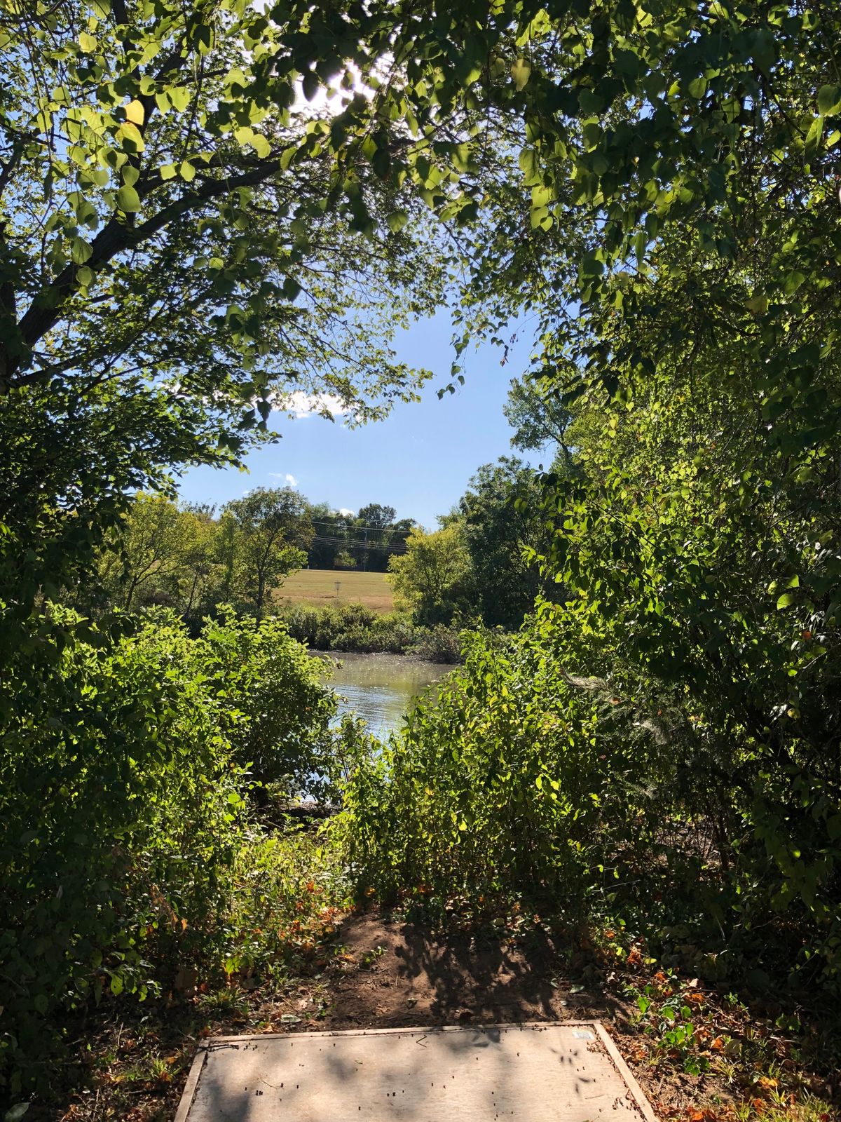 Picturesque tee shot over the lake