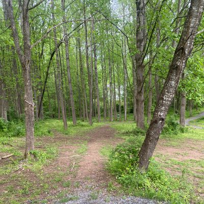 Hole 14 tee pad
