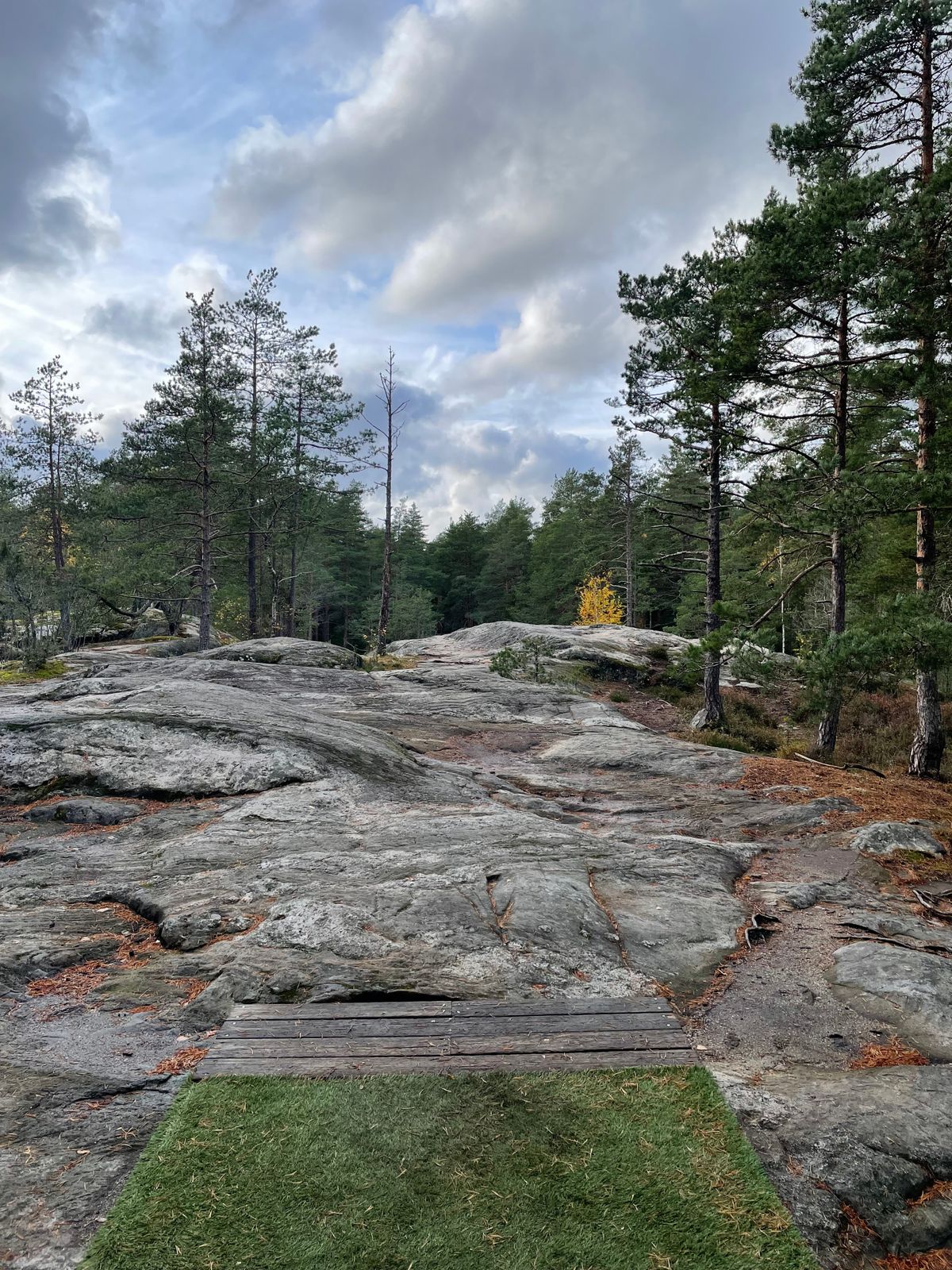 Väylä #6