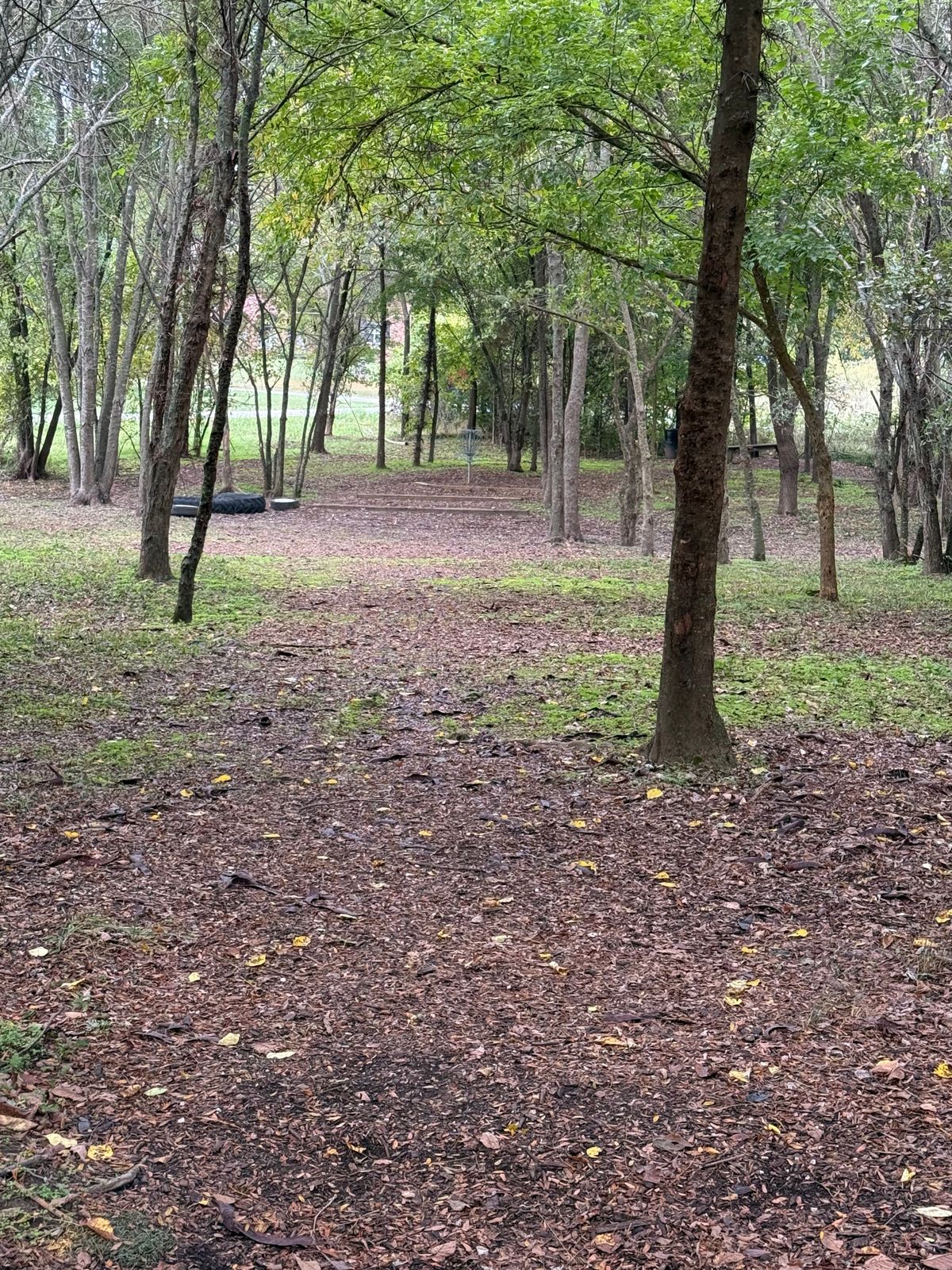 Tight Fairway