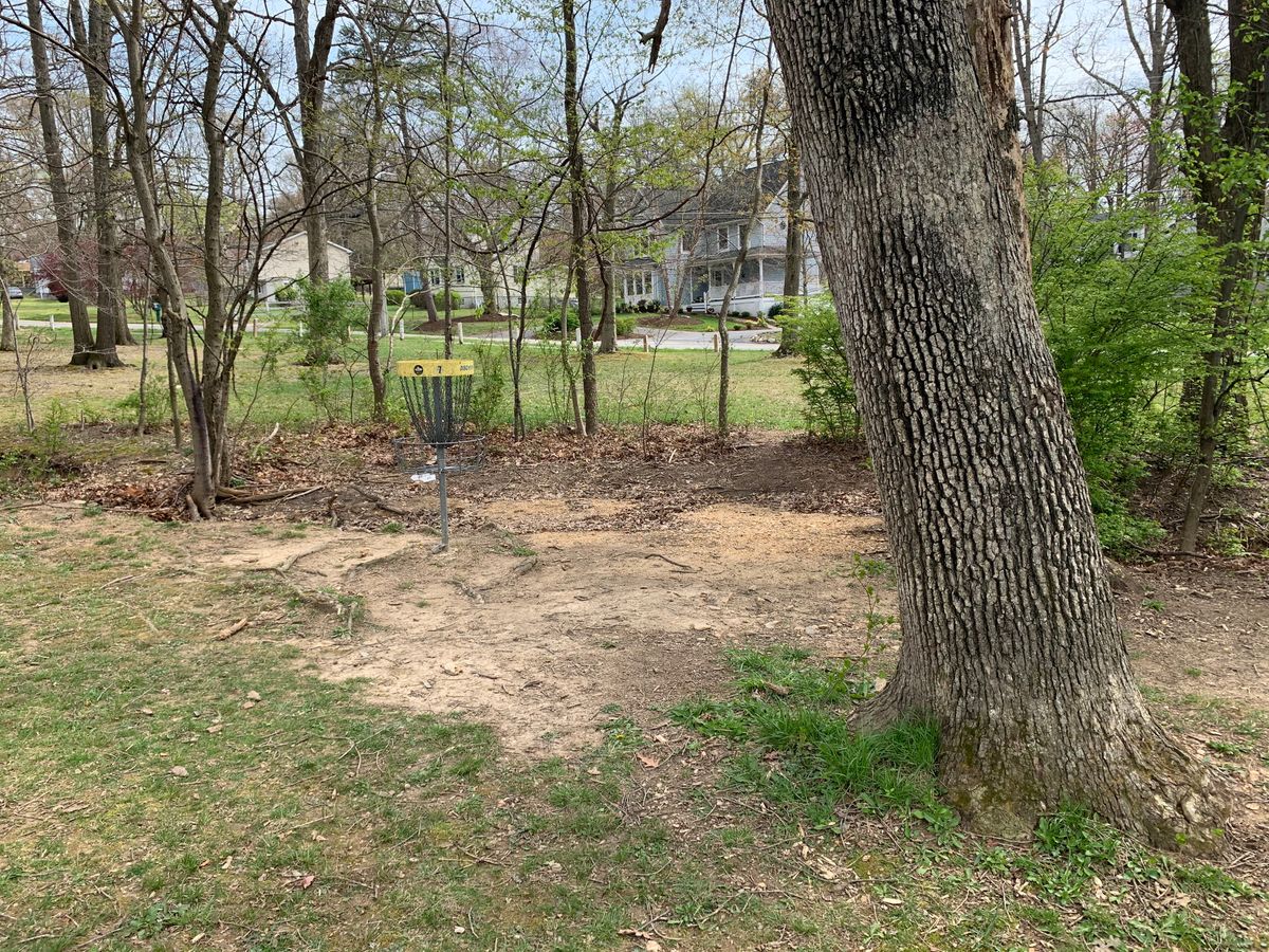 Hole 7/12 baske