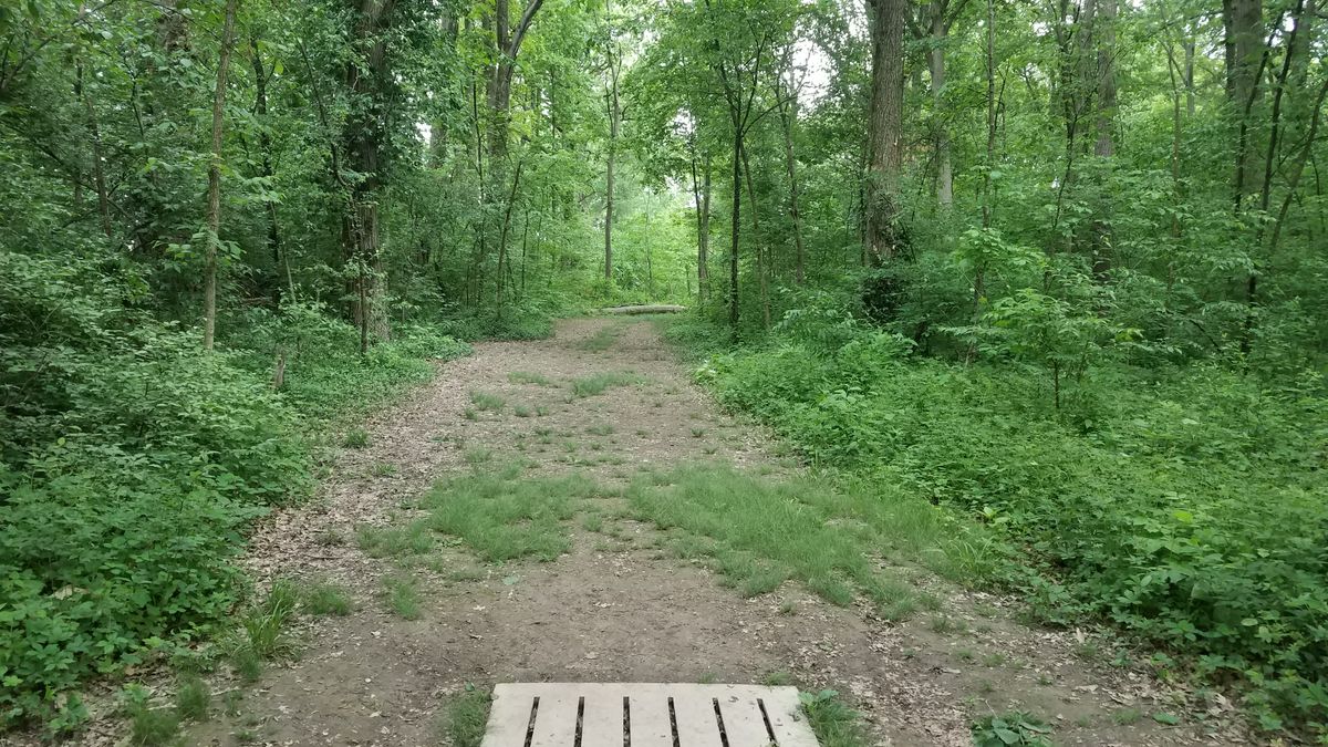 From #7 short tee