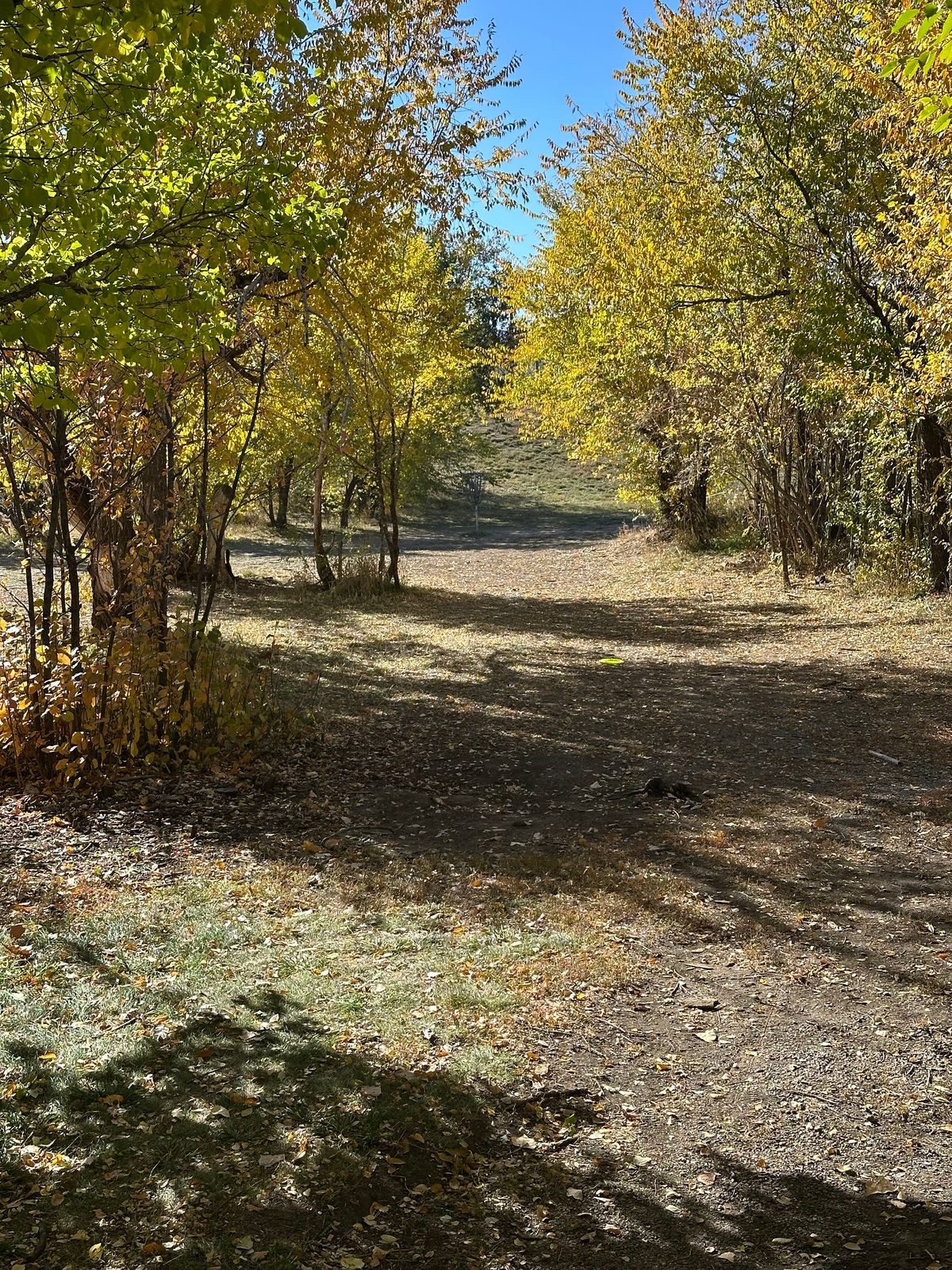 View of basket 2 from a few feet down the fairway.