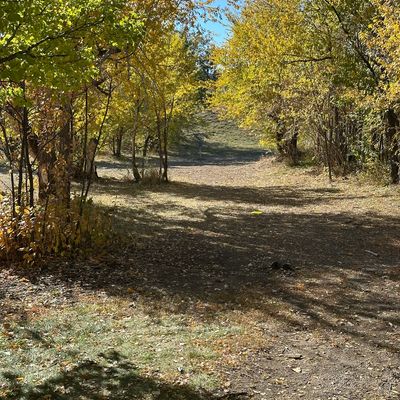 View of basket 2 from a few feet down the fairway.