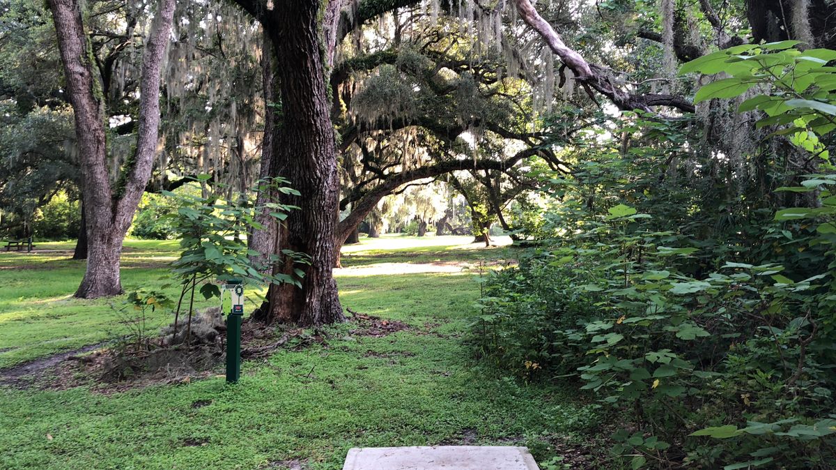 Hole 9