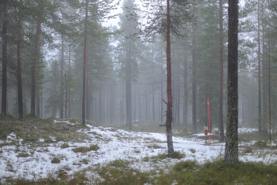 Vy från vit tee mot röd tee på bana 2. Oktober 2024.