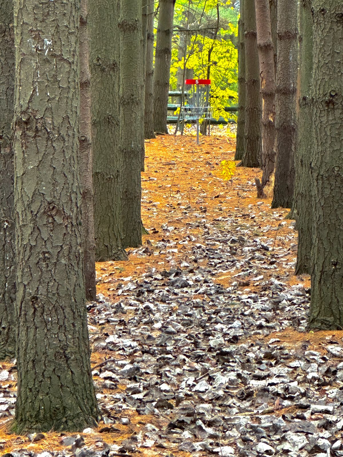 Ennismore Waterfront Park
