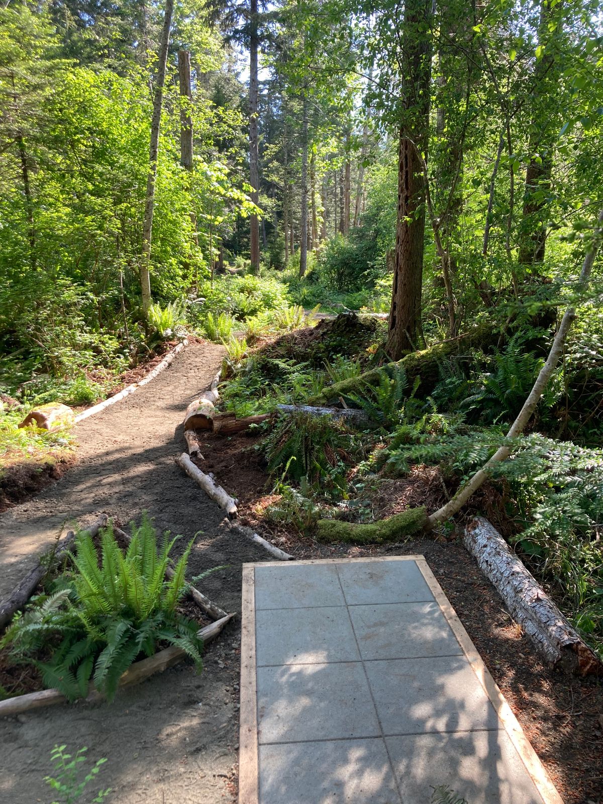 Hole 8A Blue TeePad (new 2024)
