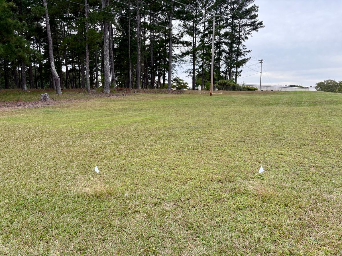 Hole 5 tee
