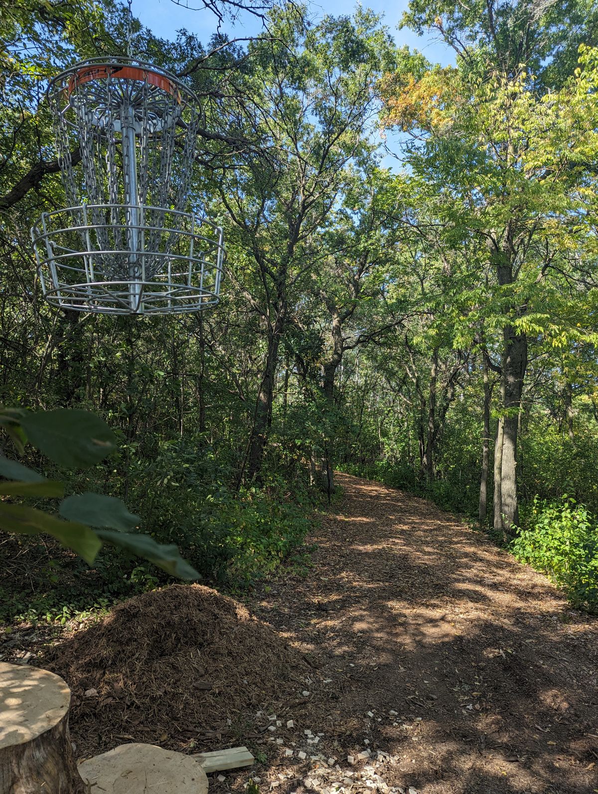 Short Basket looking back at fairway