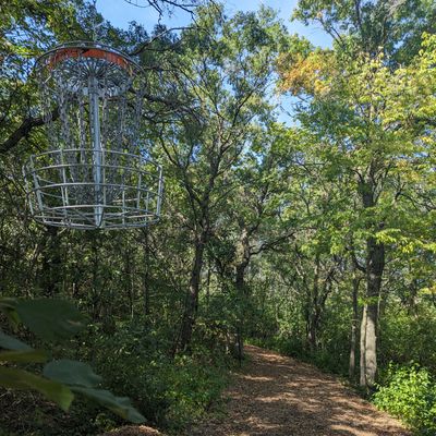 Short Basket looking back at fairway