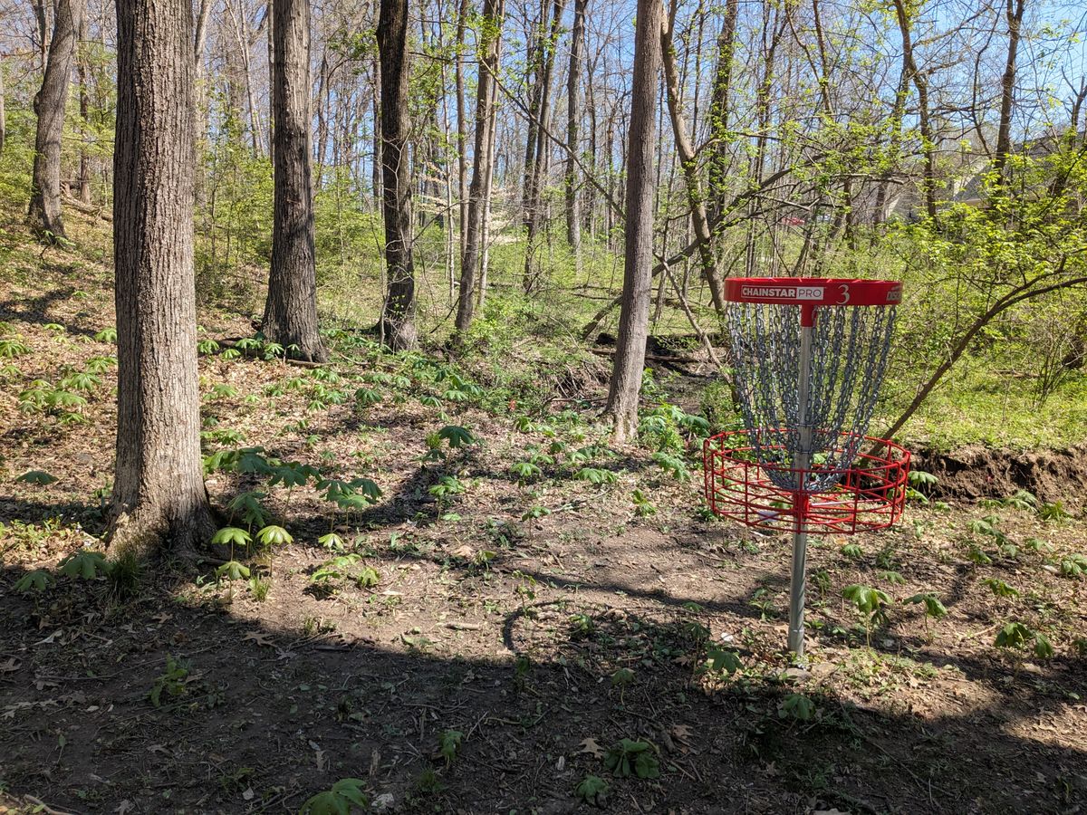 Behind #3 Basket