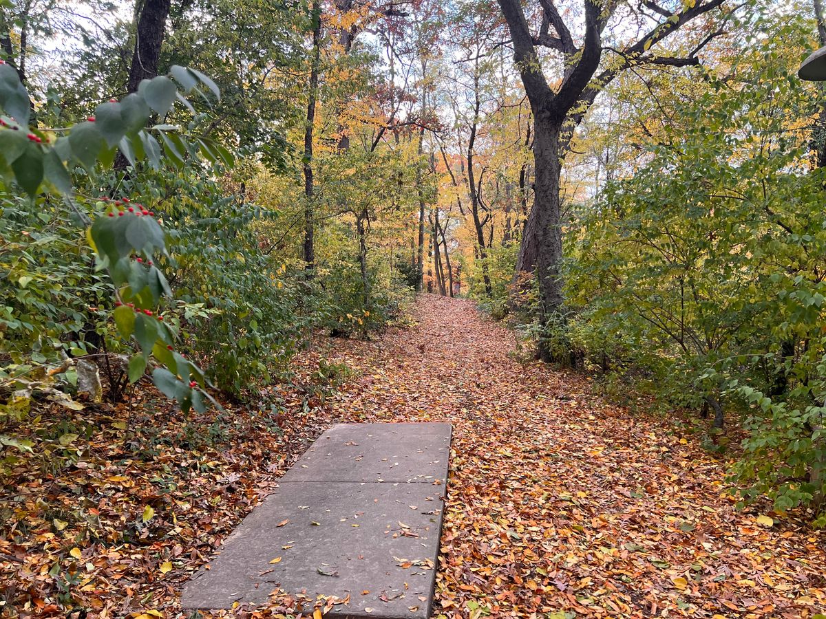 Hole 14 - Tunnel Shot