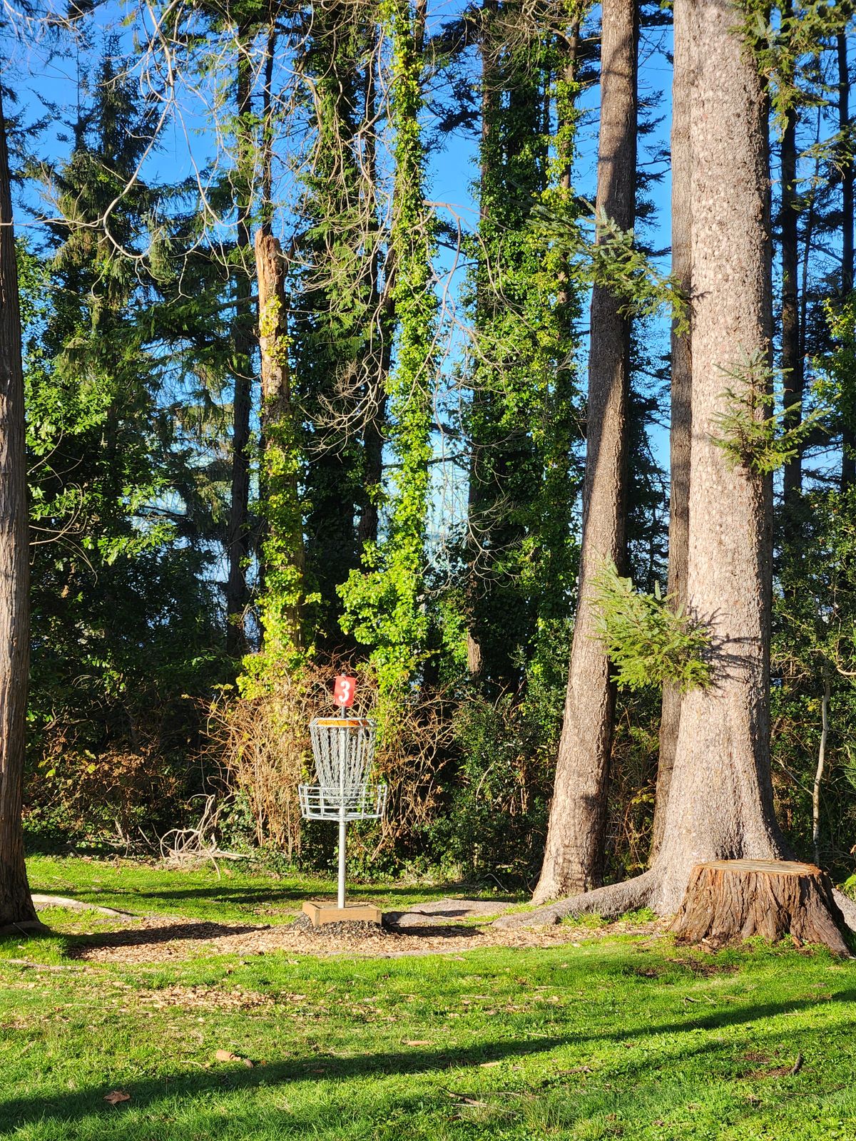 Hole 3 Basket