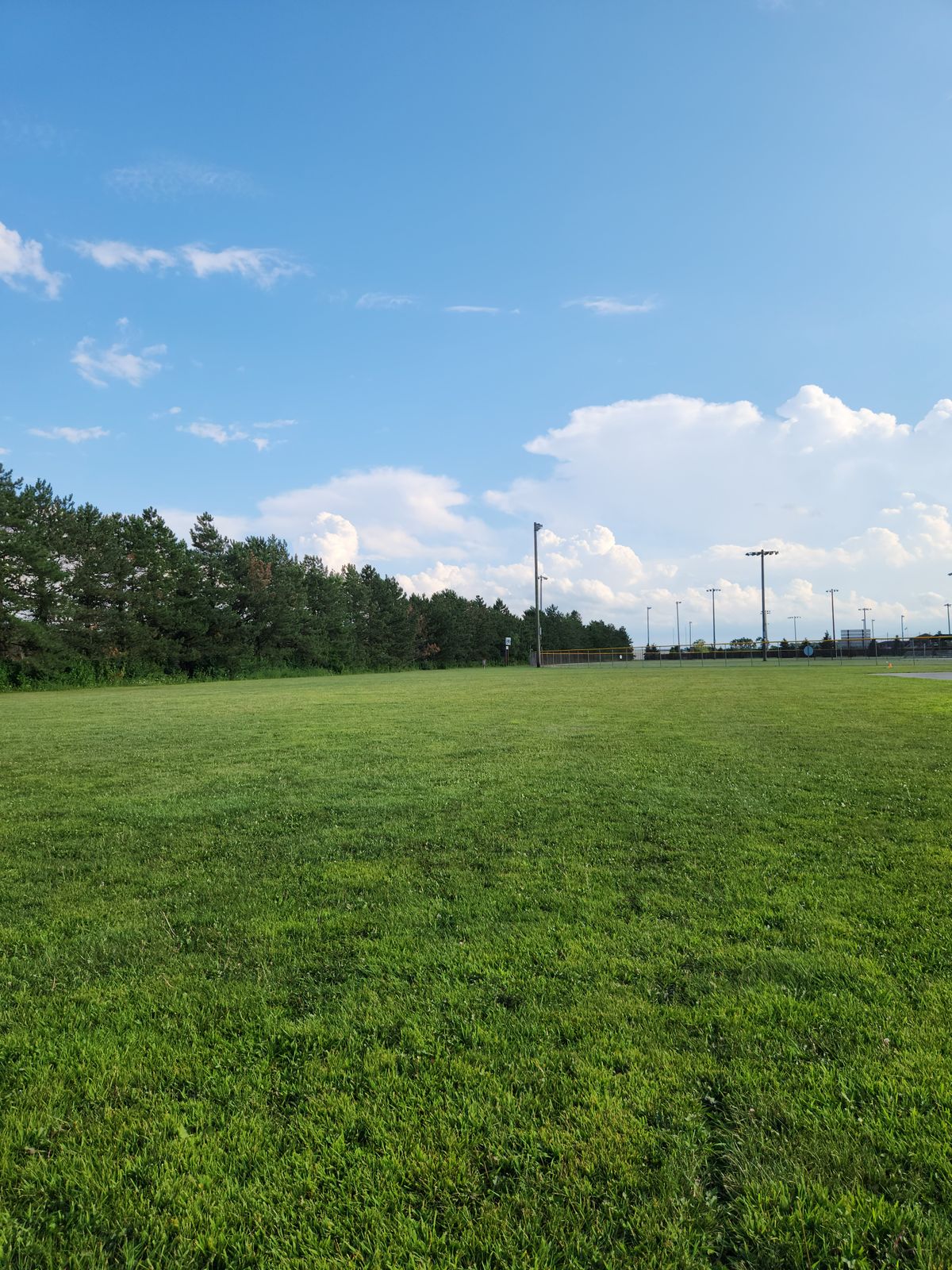 View of hole 16 from the brown tee