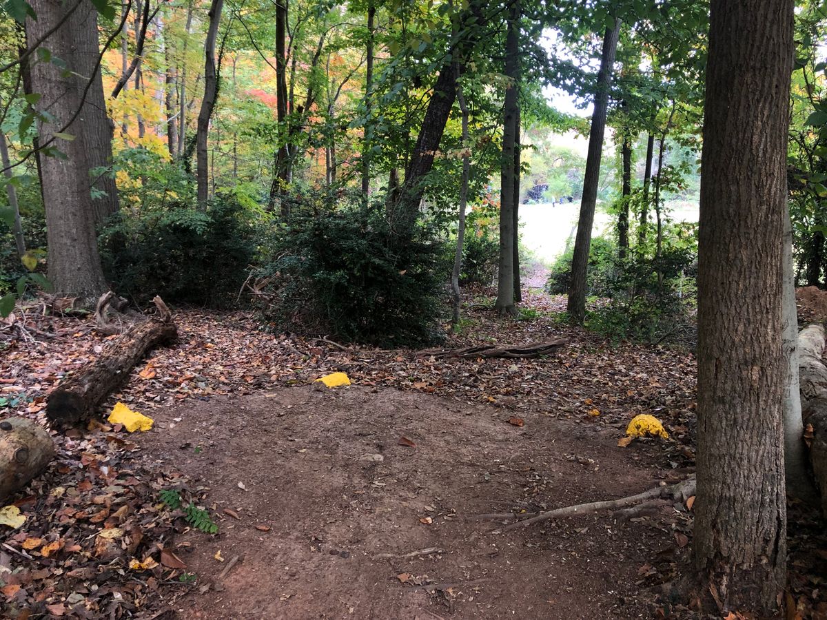 #18 Demon Gold (Right Fairway)
