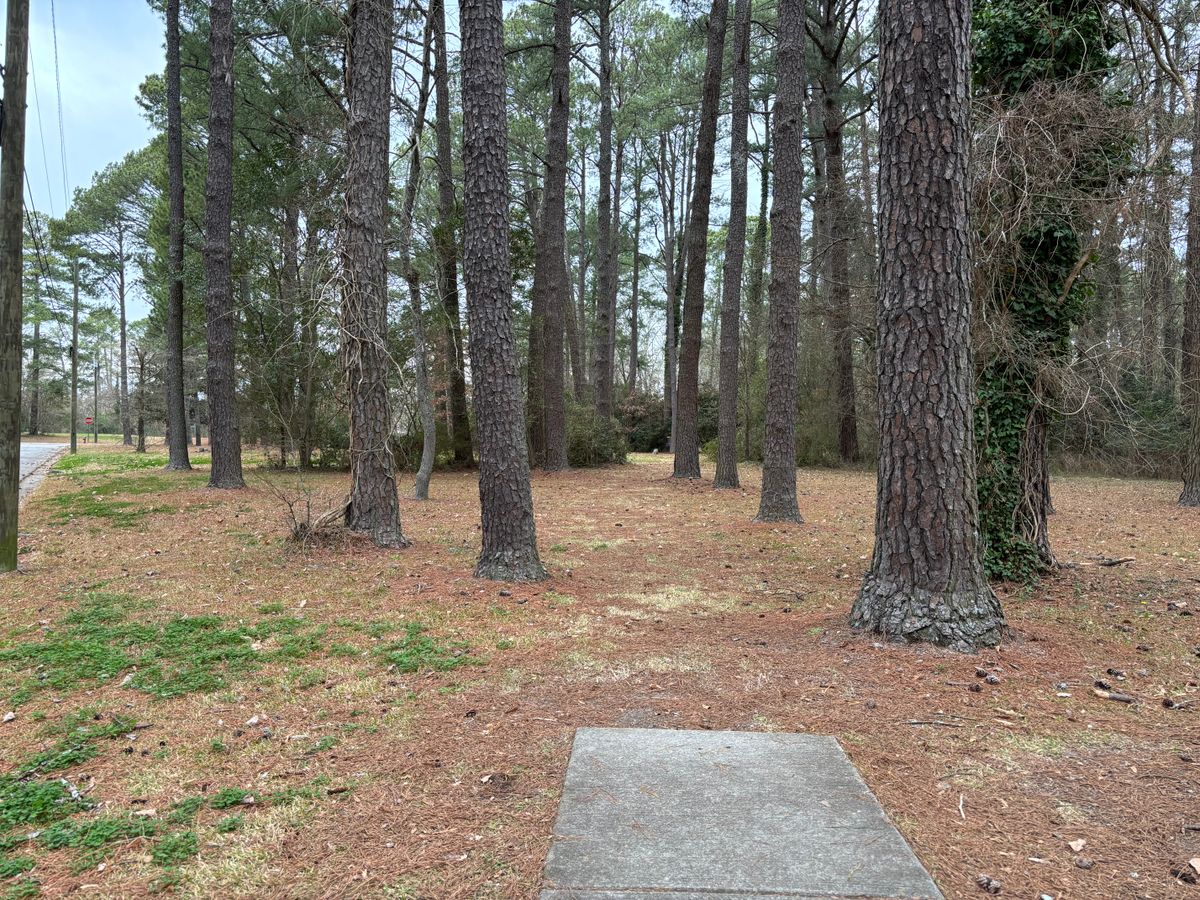 Hole 16 shorts