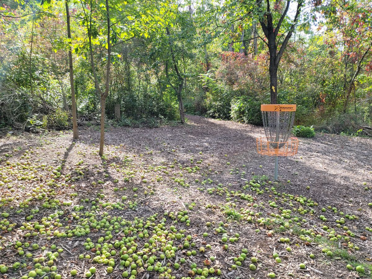 Hole 3 with apple flavor.