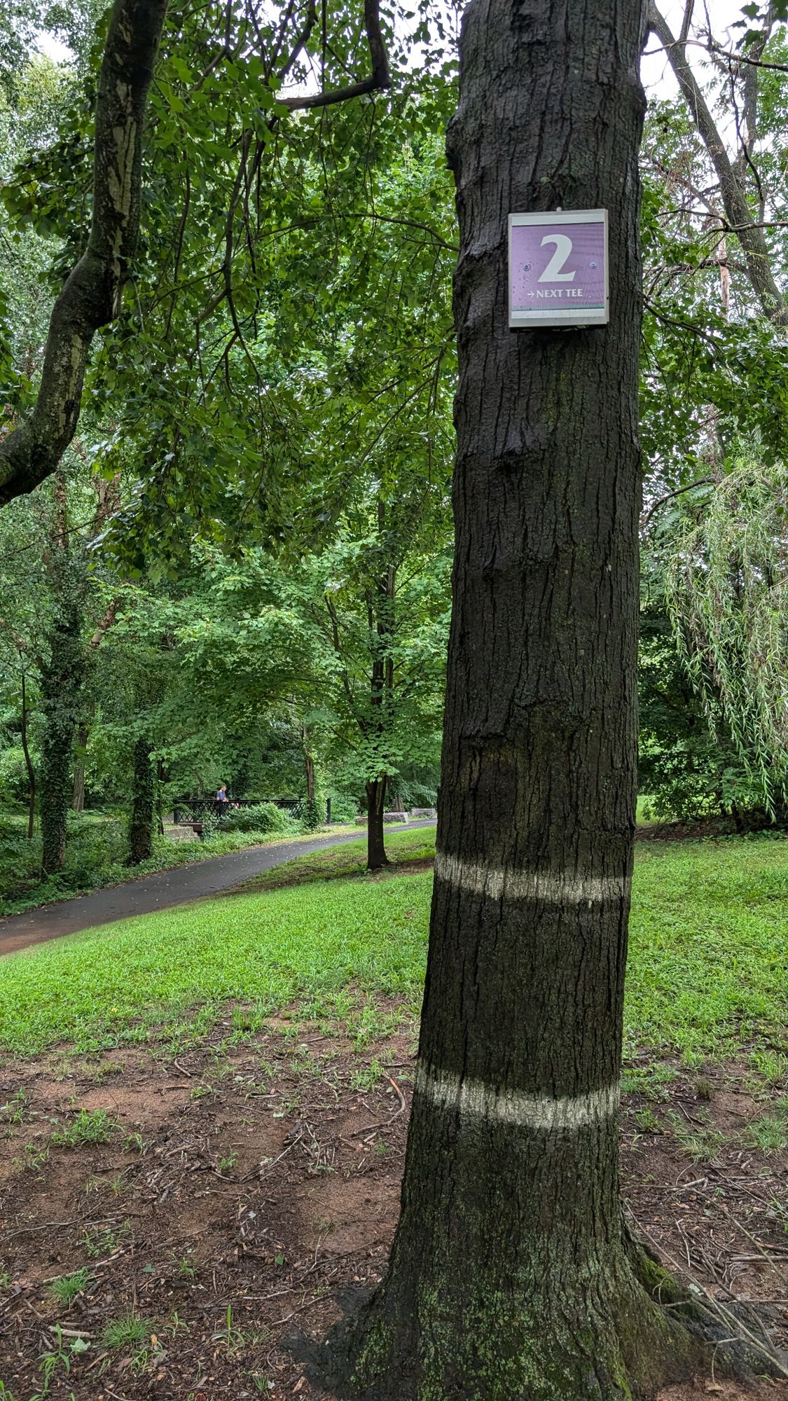 Hole 2 Target (new sign)