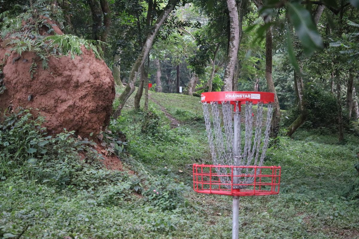 Hole 4 Basket