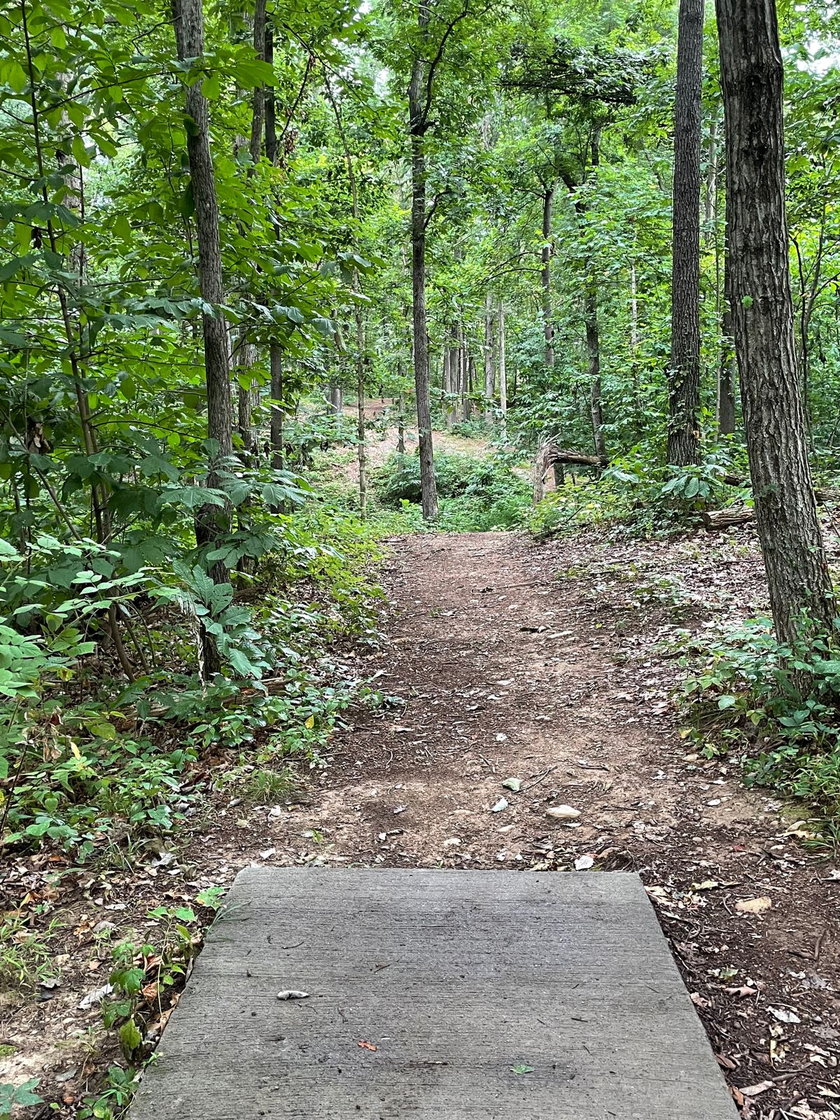 I don’t remember what hole but it was fun!
