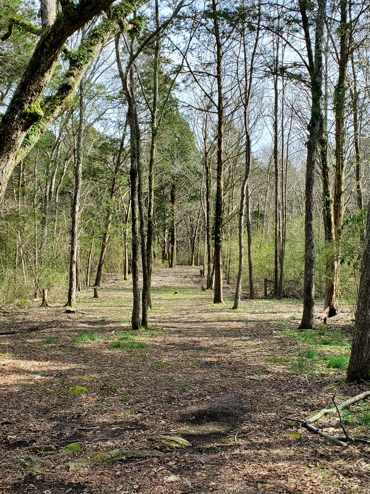 Photo from Teebox