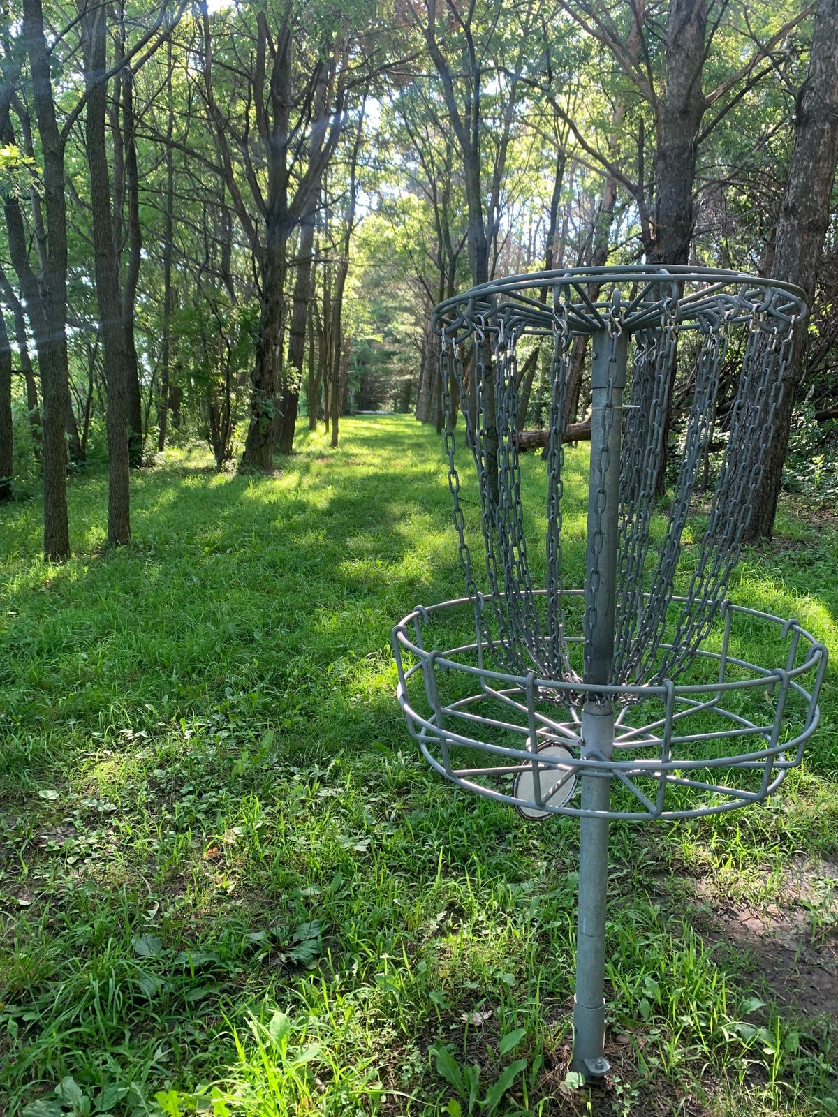View of hole 11 looking back towards teepad.