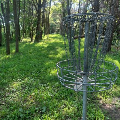 View of hole 11 looking back towards teepad.