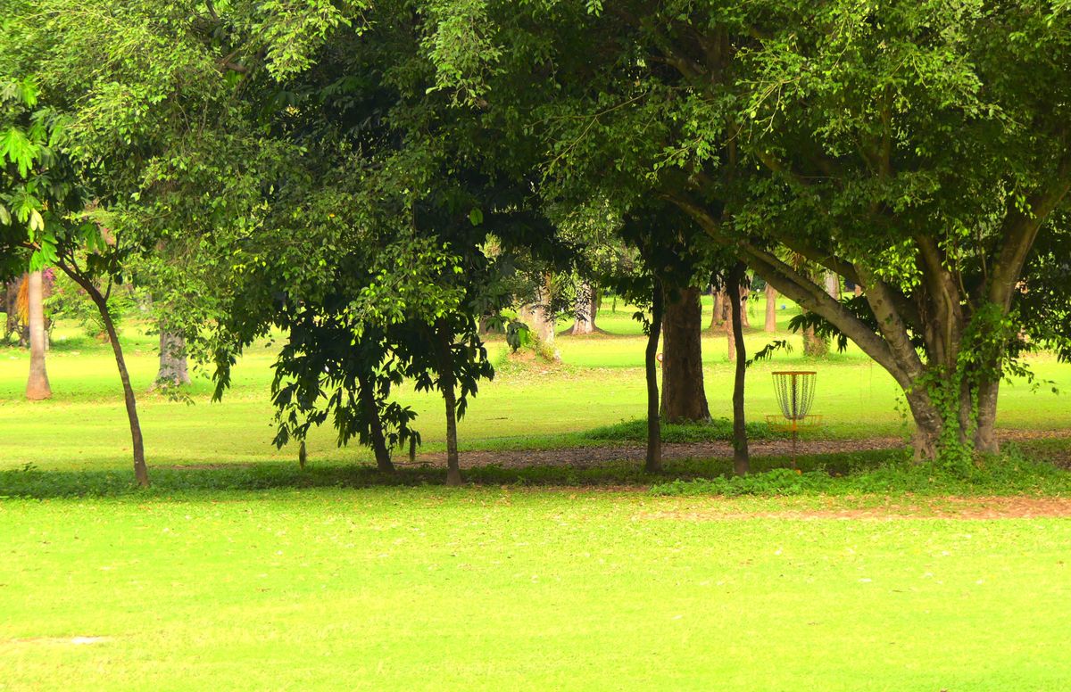 Hole 5 target