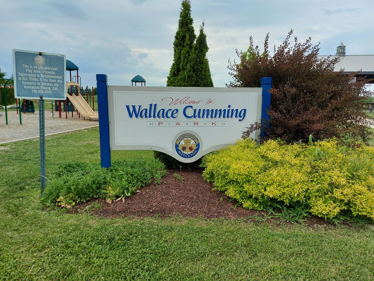 Wallace Cumming Park 🌼🌻🌼🌻🌼🌻