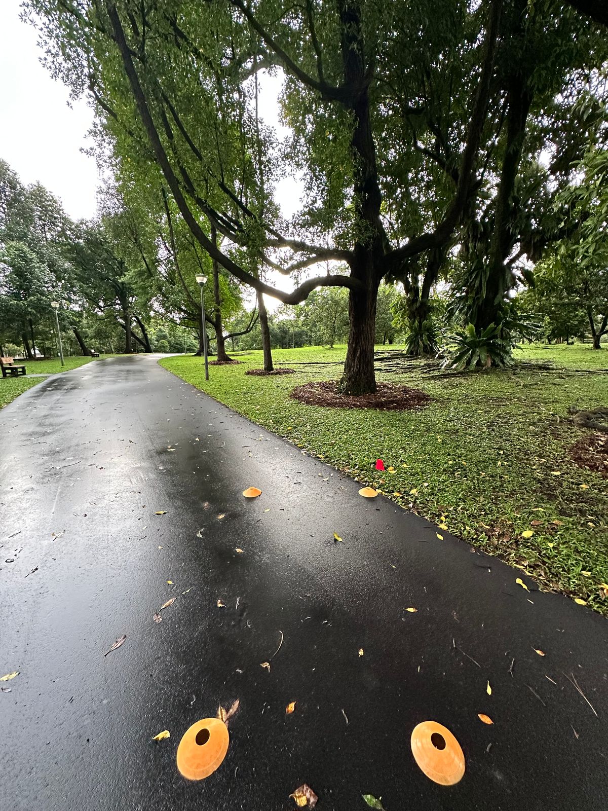 Hole 9 Teepad