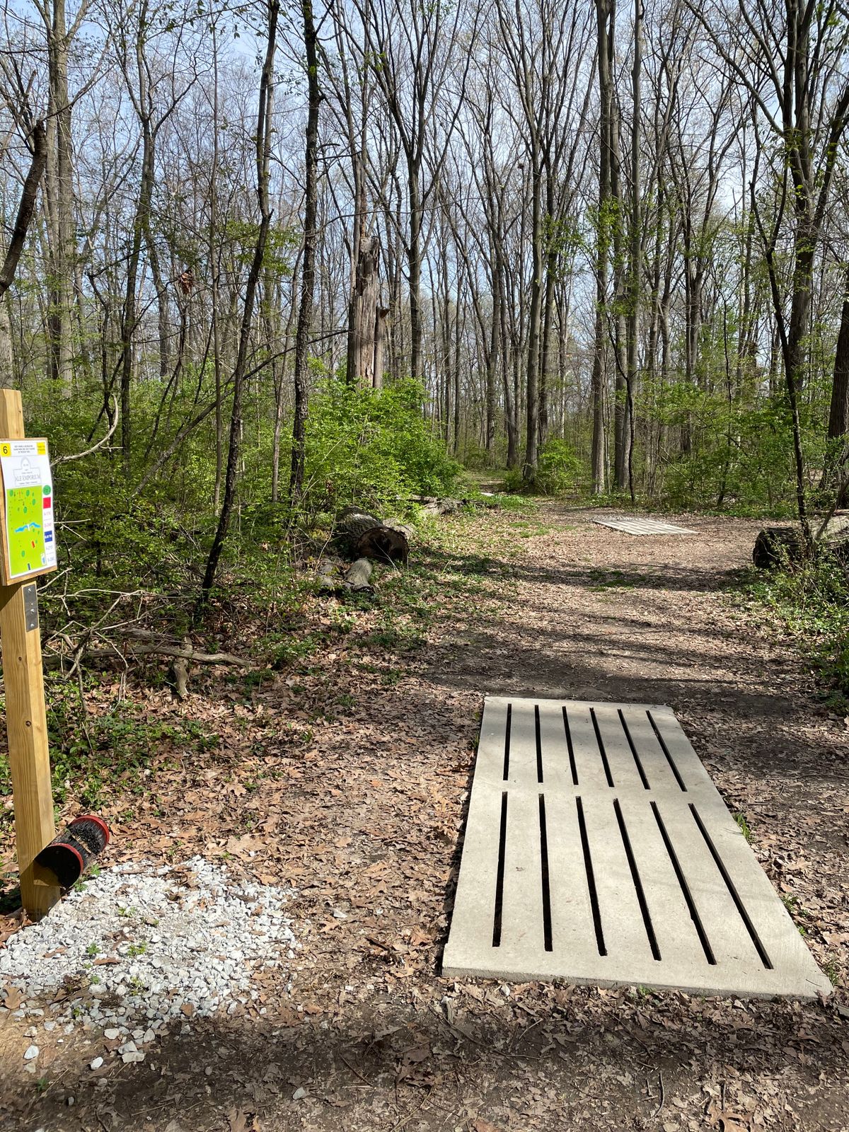 Hole 6