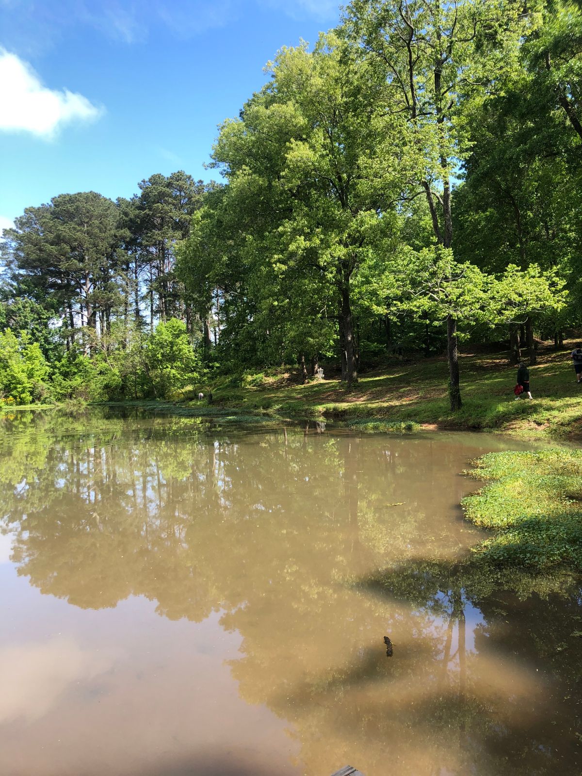 Hole 4