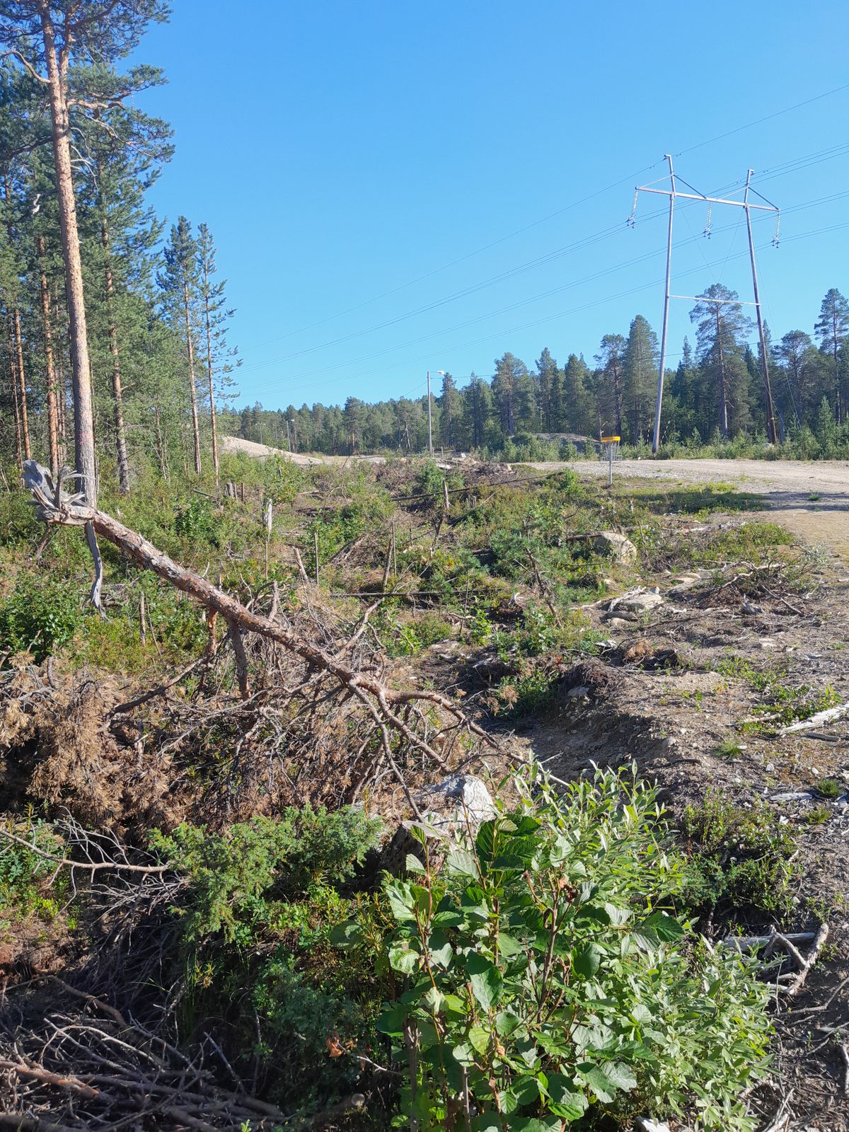 1väylä