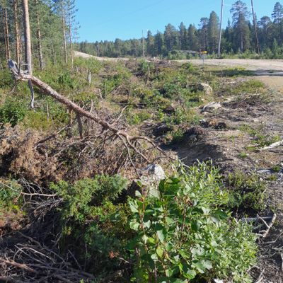 1väylä