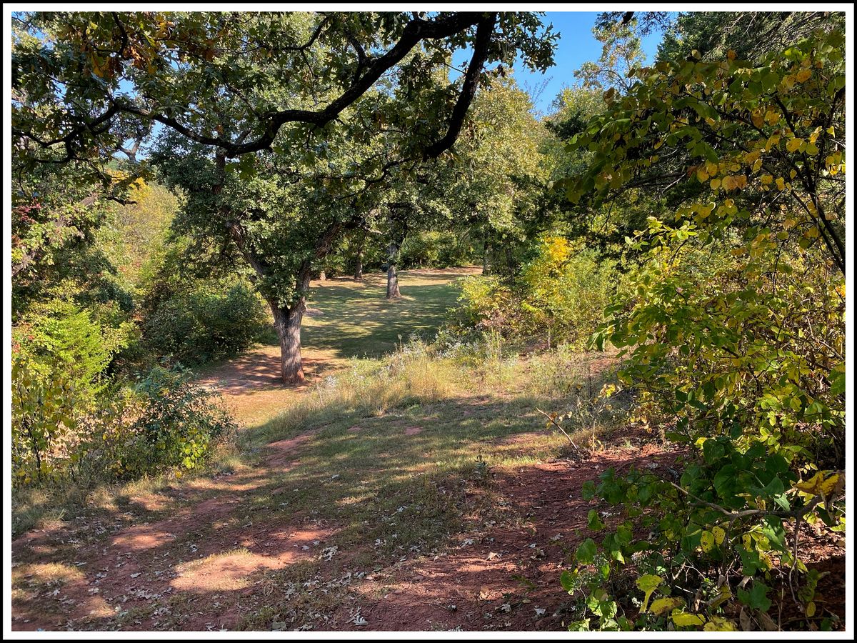 #4 fairway looking back east towards Tee from crest of hill
