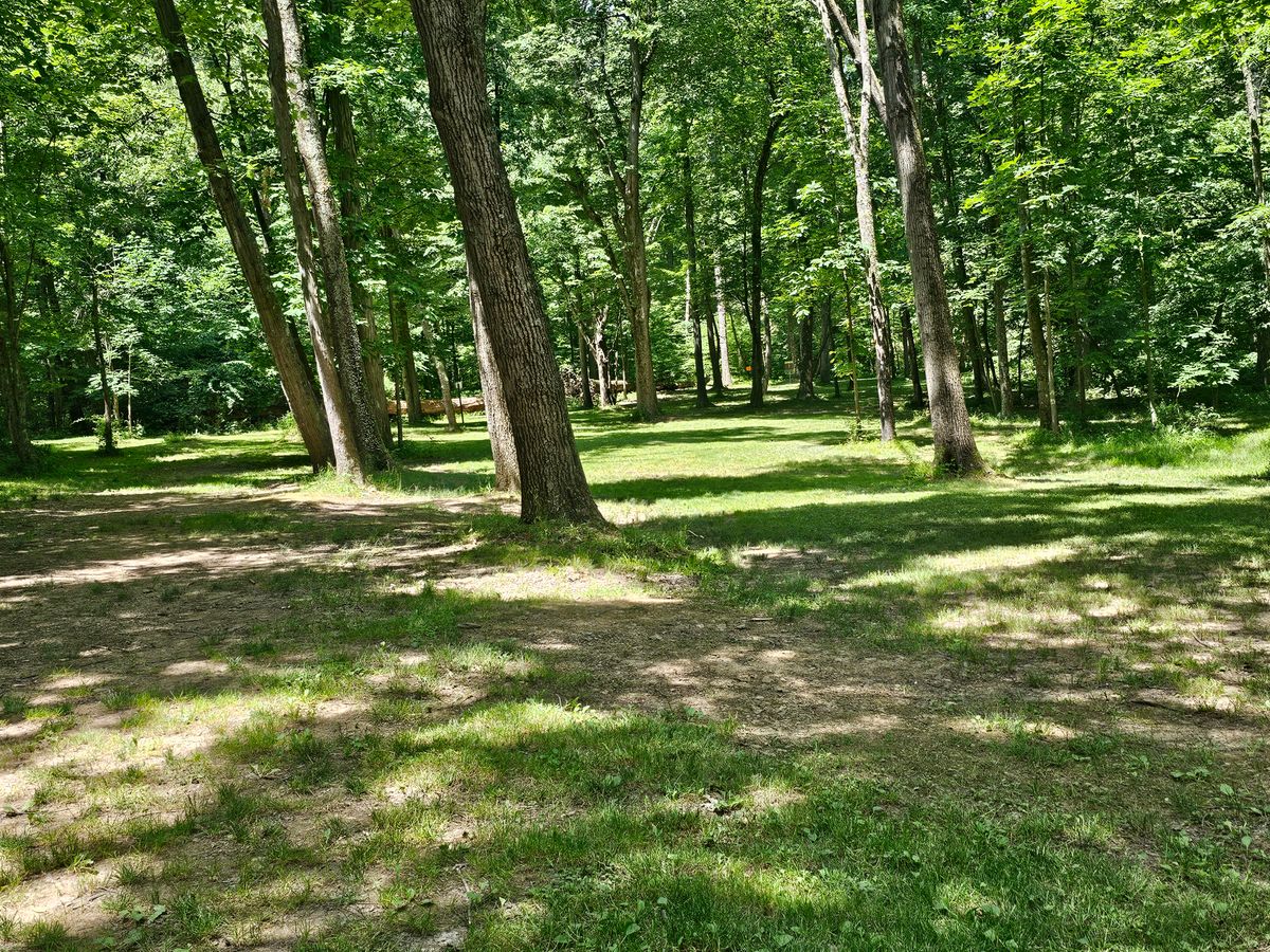 Hole 13 - Mid fairway