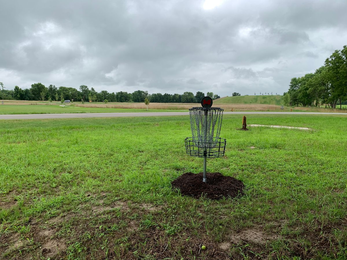 Hole 14 Basket