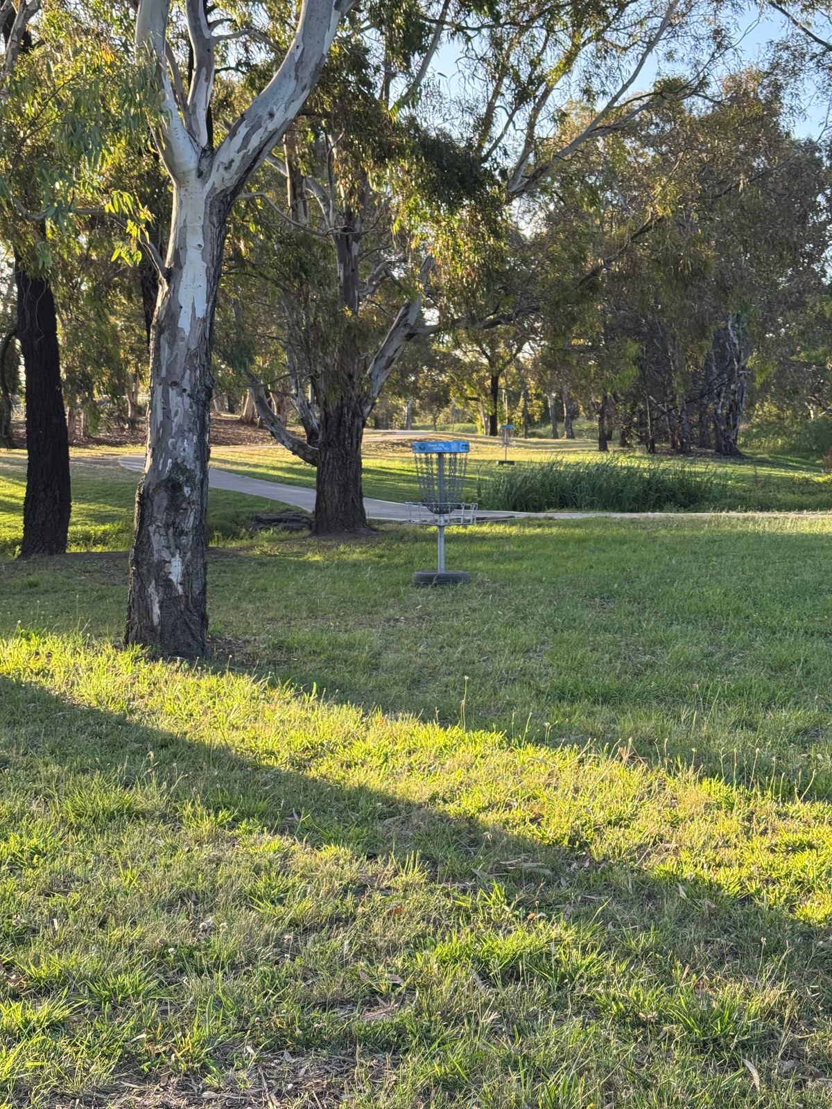 Hole 2/12 basket and 7/17 in the background