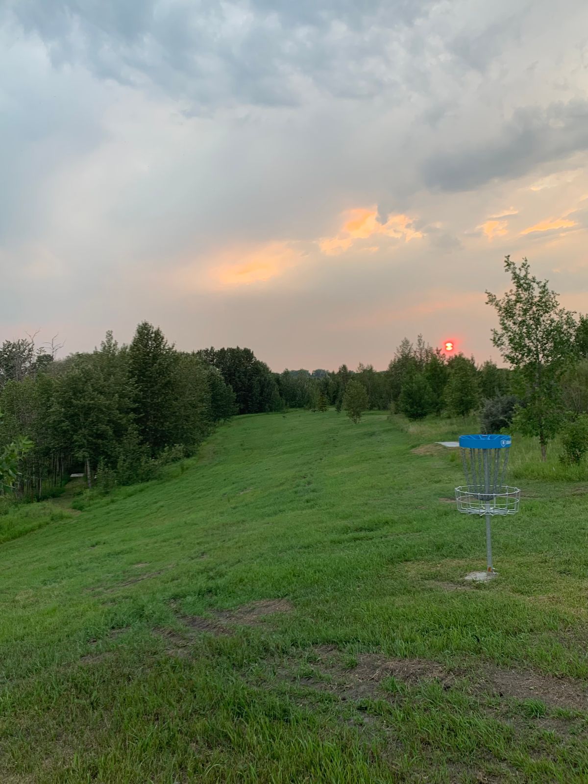 Hole #8 Fairway and Basket