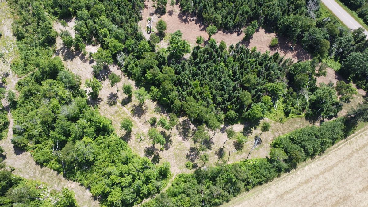 Hole 10 - overhead view. Hole plays from right hand side of photo to top left.