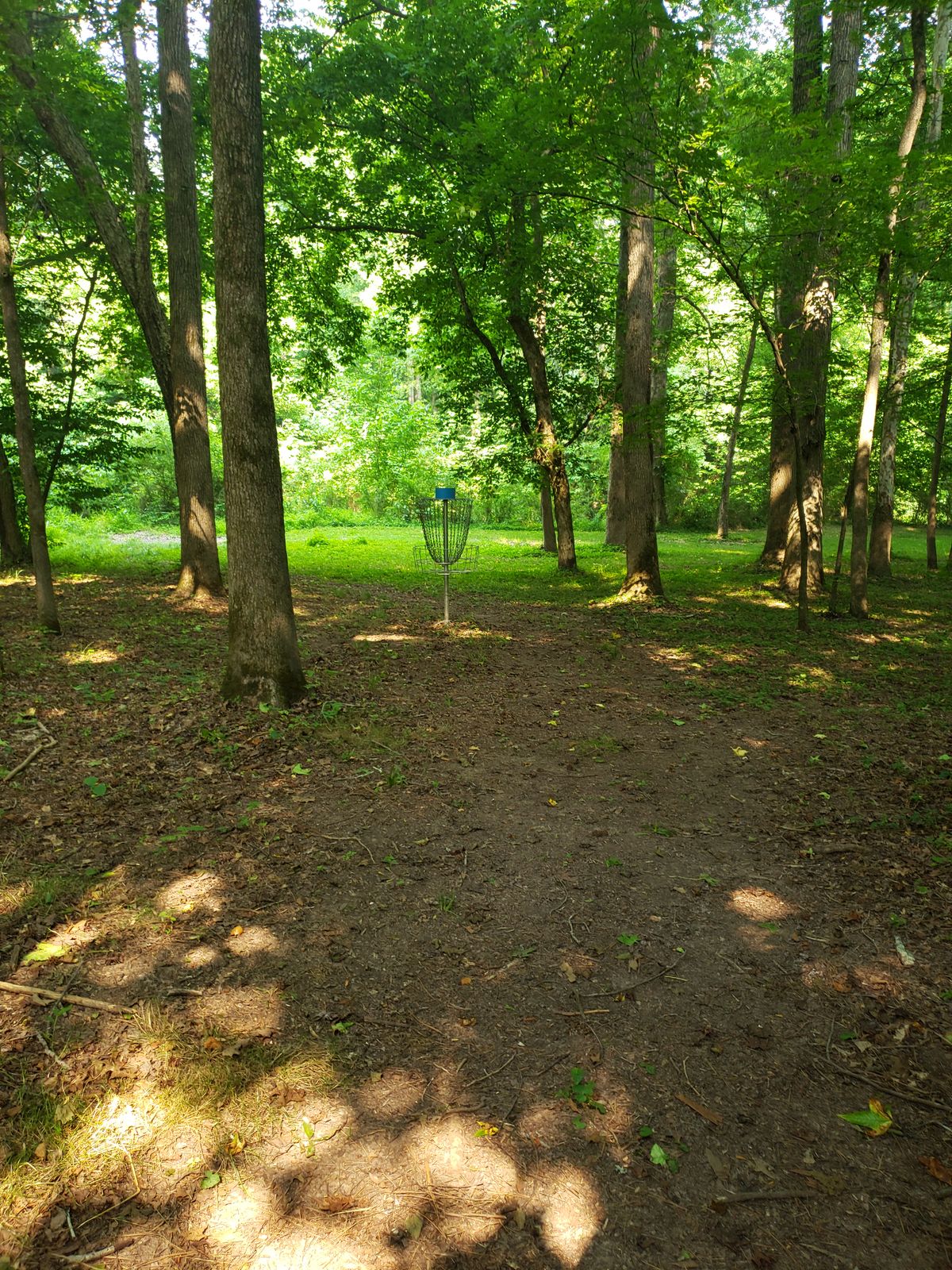 Hole 4 basket